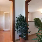 Hrboki Iii *